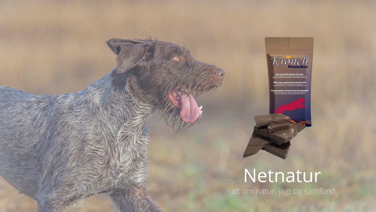 Henne Pet Food hund