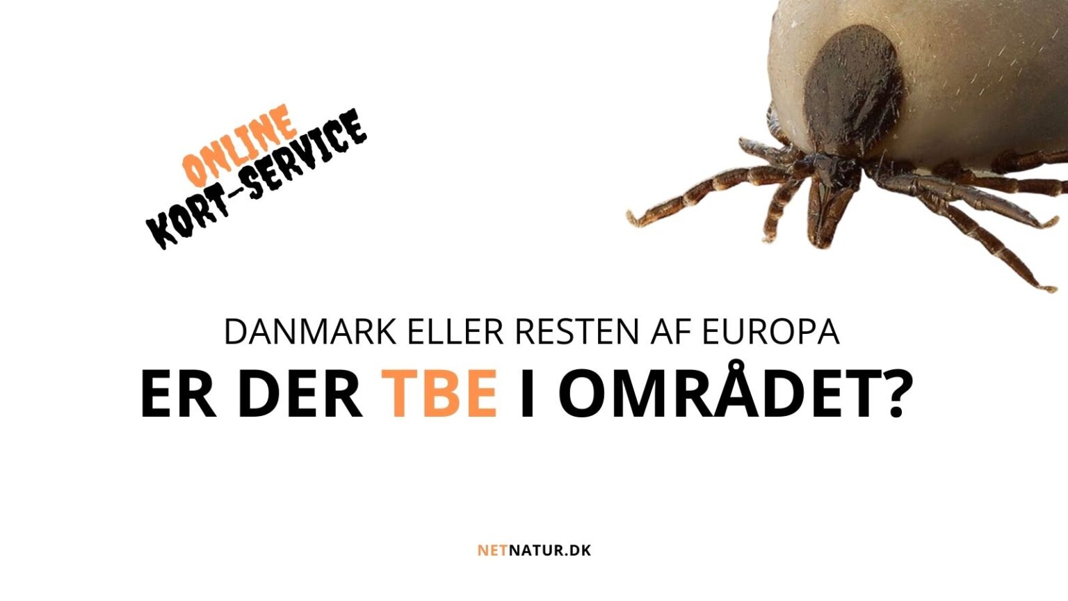 TBE