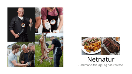 Vildtkøkken