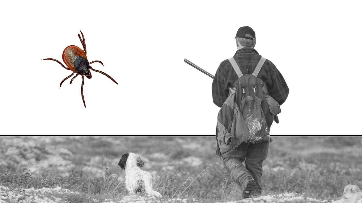 Jægere og Tick-borne encephalitis (TBE)