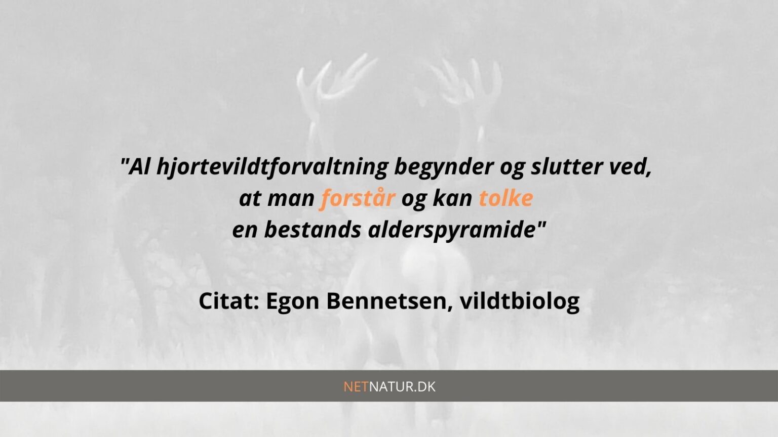 Egon Bennetsen: Forvaltning starter ved forståelsen