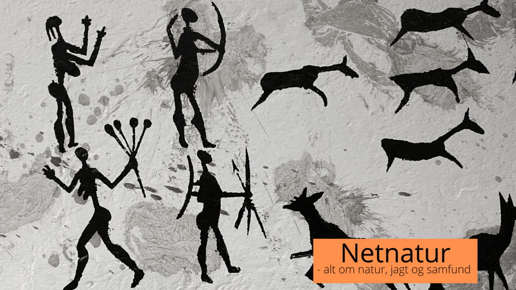 Jagtudstyr og jagtilbud