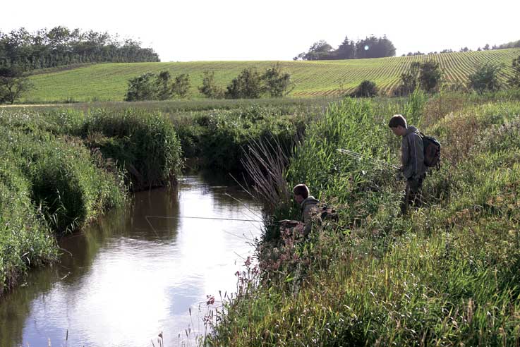 Under succesens overflade i Liver Å Under succesens overflade
