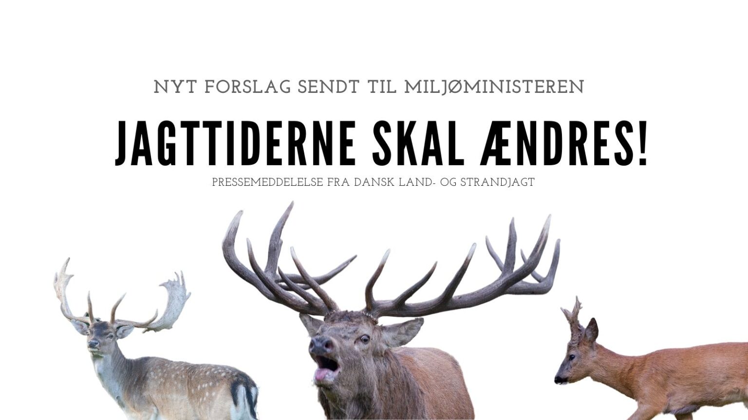 Forslag til generelle jagttider for kronvildt, dåvildt, sika og råvildt