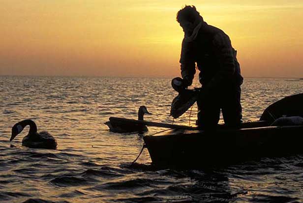 Fuglekiggere sikre vindere