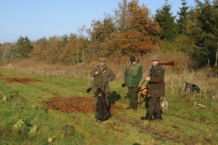 Ude efter DOF-tilskud