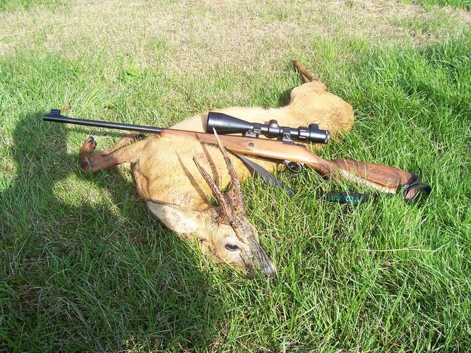 Bukkejournal på vej mod 10.000 visninger