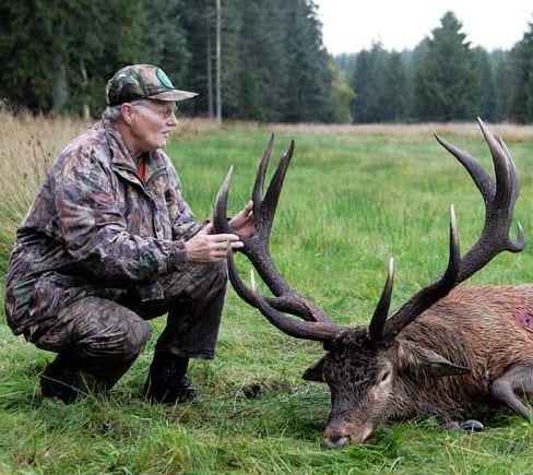 Kongen af Rold skov trafikdræbt