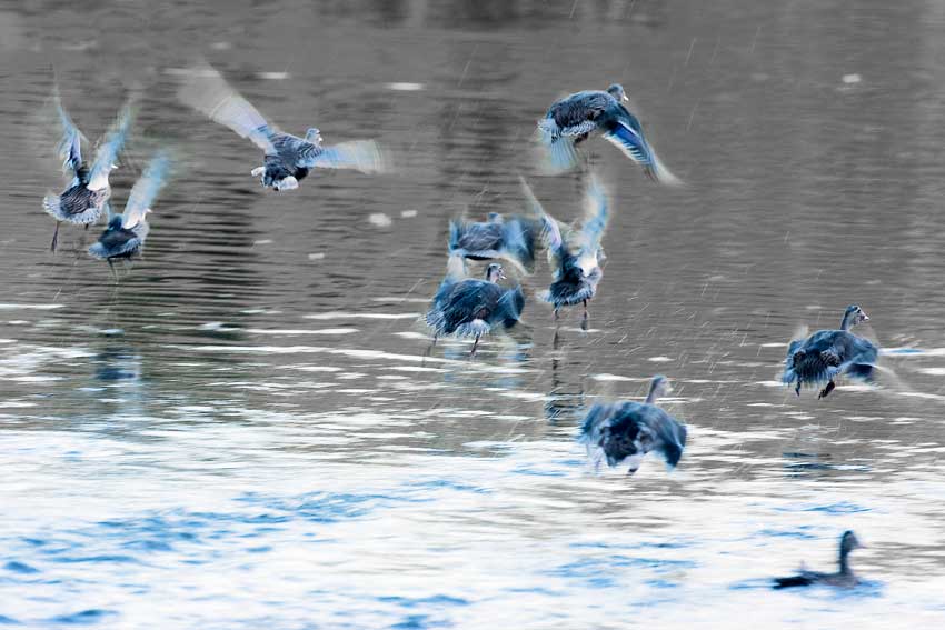 Sådan klager du over fly-svigt! Sådan klager du over fly-svigt!