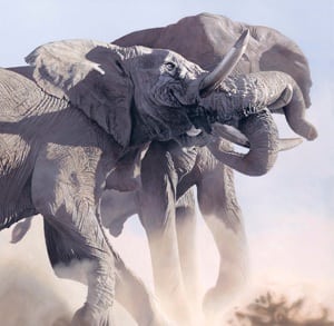 Så går det løs … Så går det løs …