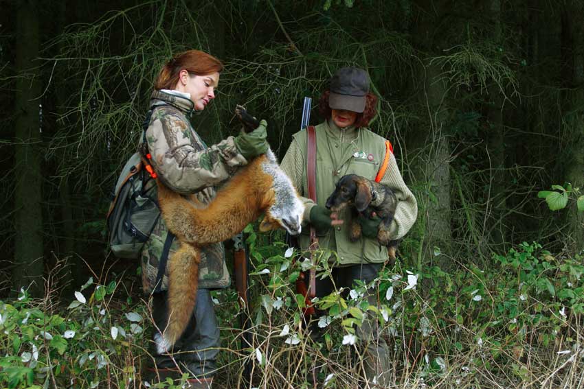 En række kunstige rævegrave er blevet et vigtigt våben i kampen for at holde liv i flere truede fuglearter ...