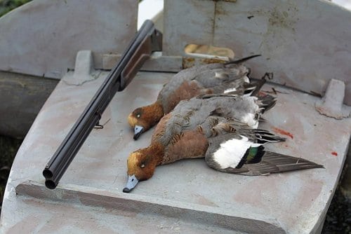 Havene stiger - flyt digerne ind i landet