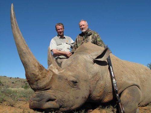 Næsehorn i verdensklasse