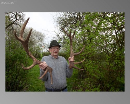 Kastestænger i stedet for blomster