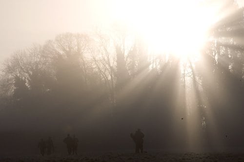 Dom i tysk jagtulykke