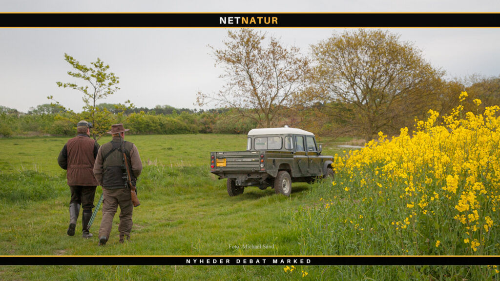 Flåt med TBE nu også på Sjælland