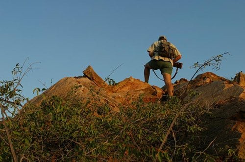 Økologiske og økonomiske fordele ved jagt