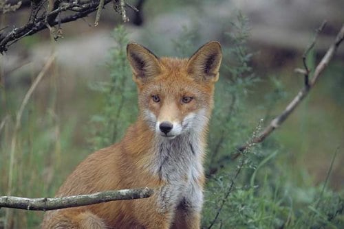 Naturkanon overrakt til Miljøministeren