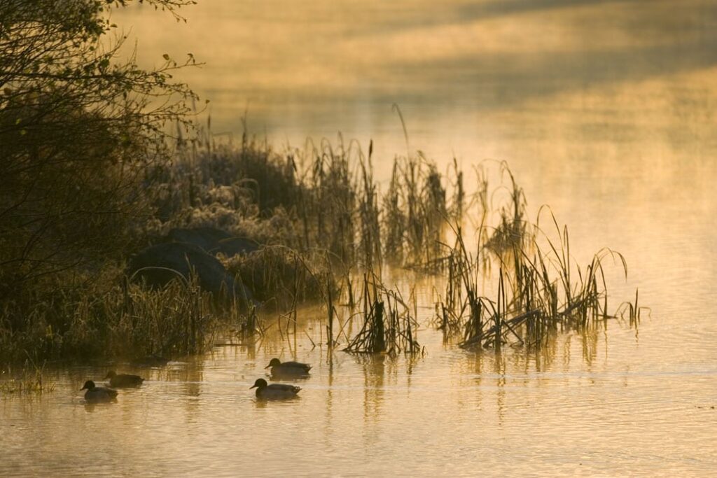 Tønder Kommune under administration