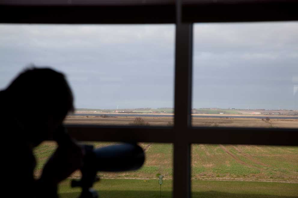 Protest mod pile-beplantning Protest mod pil