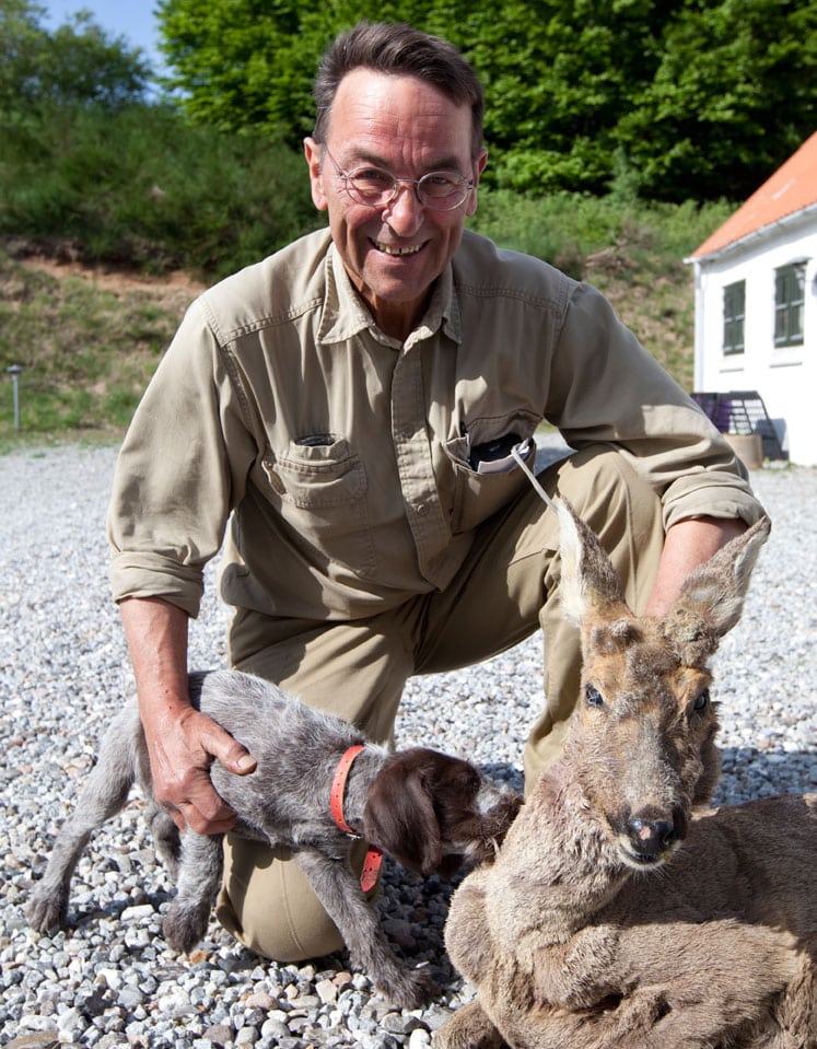 Rå taget af gravhund