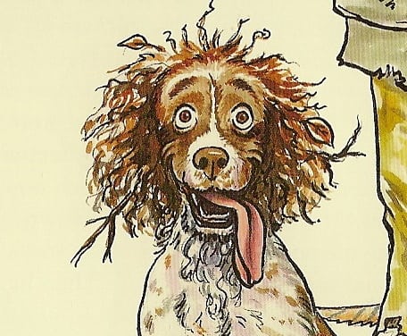 Hund skyder jæger i rumpen! Hund skyder jæger i rumpen!