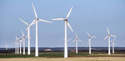 Ny og rig natur i Østerild Klitplantage Ny og rig natur i Østerild Klitplantage