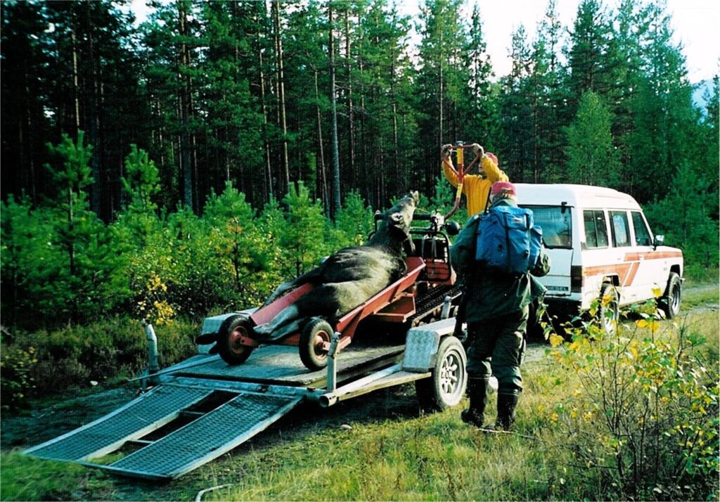 De unge svenske kvinder går til stålet