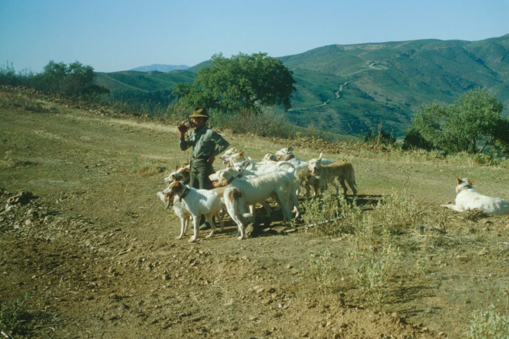 Monteria er farverig, men kan være gambling Monteria er farverig, men gambling