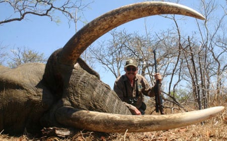 Mega Jumbo fra Mozambique