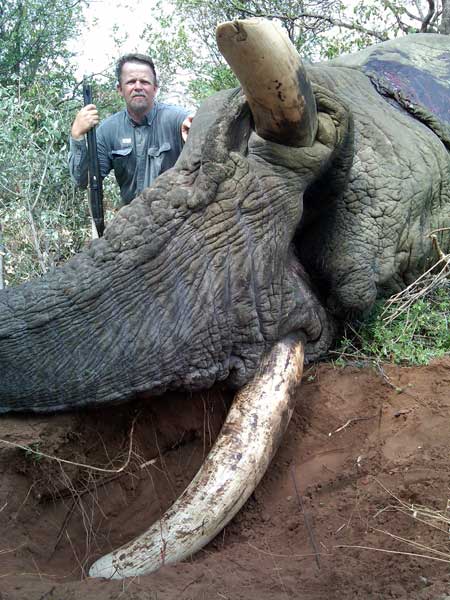 Elefantjægernes år Elefantjægernes år