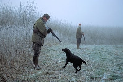 Konsortiefolk fandt rå anskudt af krybskytter Konsortiefolk fandt rå anskudt af krybskytter
