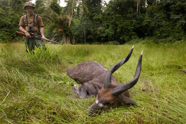 Botswana har ikke forbudt al trofæjagt