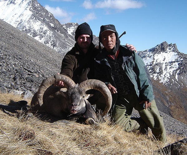Nepal ventes at genåbne jagt på blue sheep i 2012