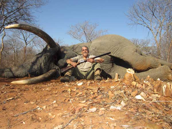 Mega elefanttyr igen nedlagt i Zimbabwe Mega elefanttyr igen nedlagt i Zimbabwe