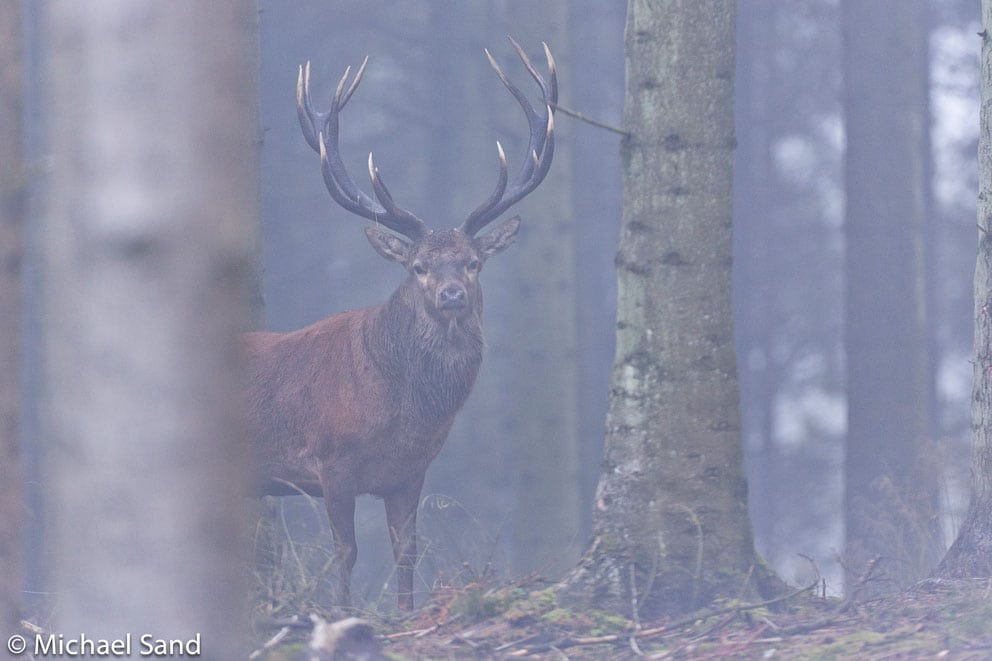 Administrator af Facebookgruppe bringer advarsel