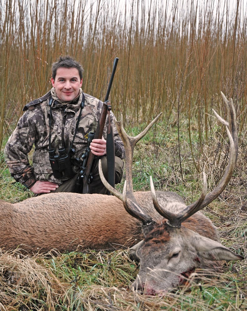 Første hjort i pilemarken