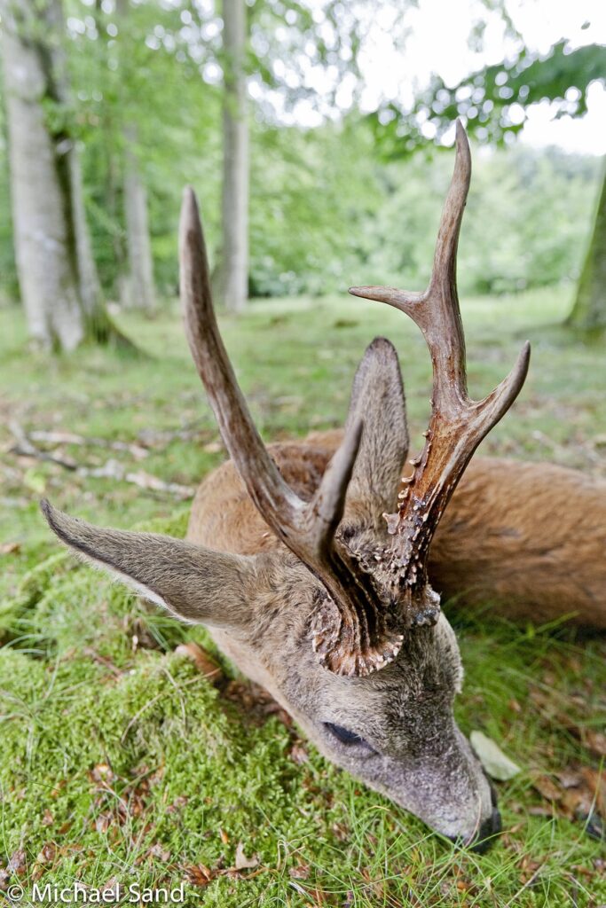 CIC-opmålingsregler er nu firs år