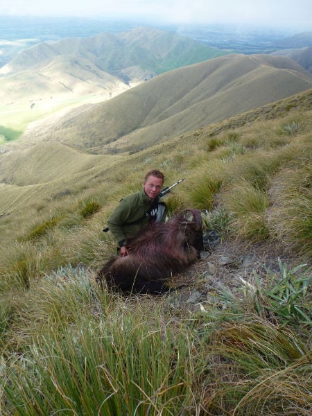 Dansk ungjæger nedlægger monster tahr i New Zealand Peter tahr