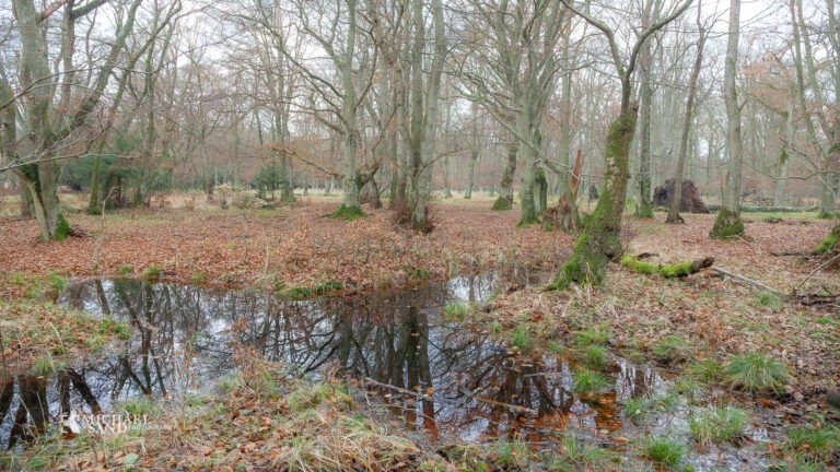 Udforskning af naturens vidundere gennem digitale platforme