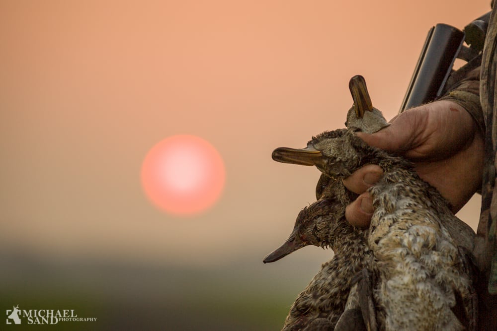 Vildtudbyttestatistik for jagtsæsonen 2011/12 © Michael Sand