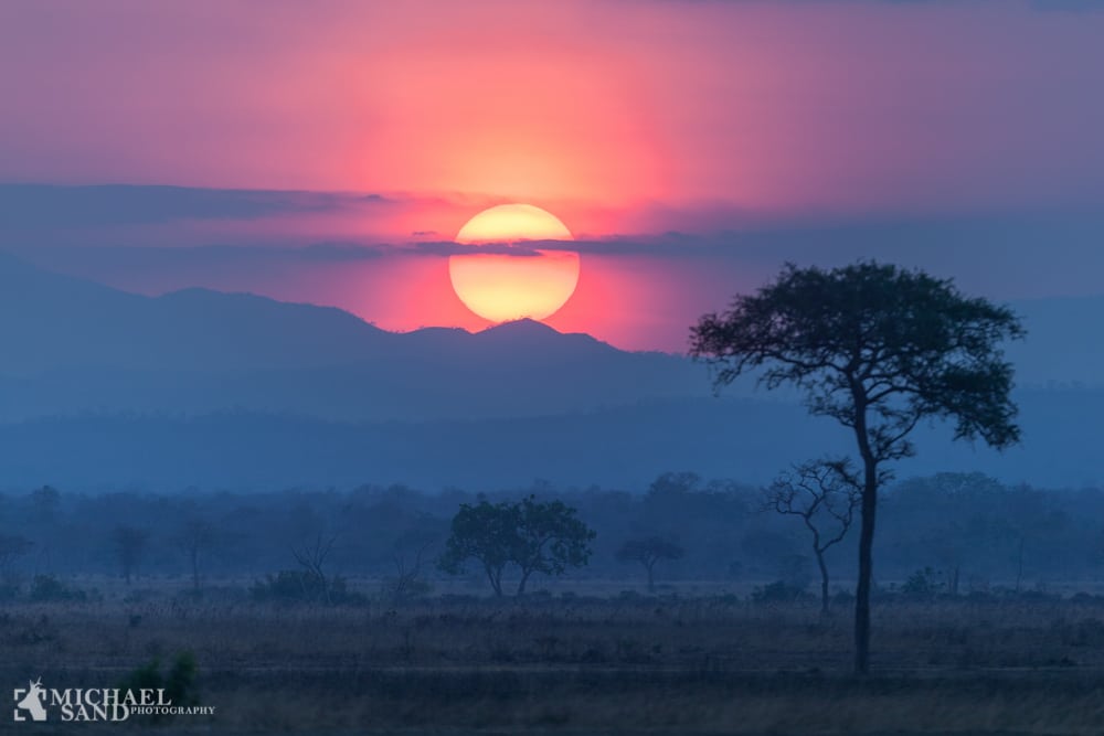 Botswana lukker ned for jagt på offentlige arealer Botswana lukker ned for jagt på offentlige arealer