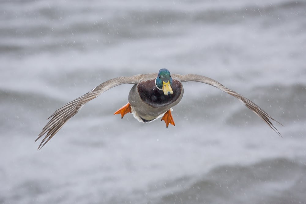 Foto er lys: 3 Lukkertid Foto er lys: 3 Lukkertid
