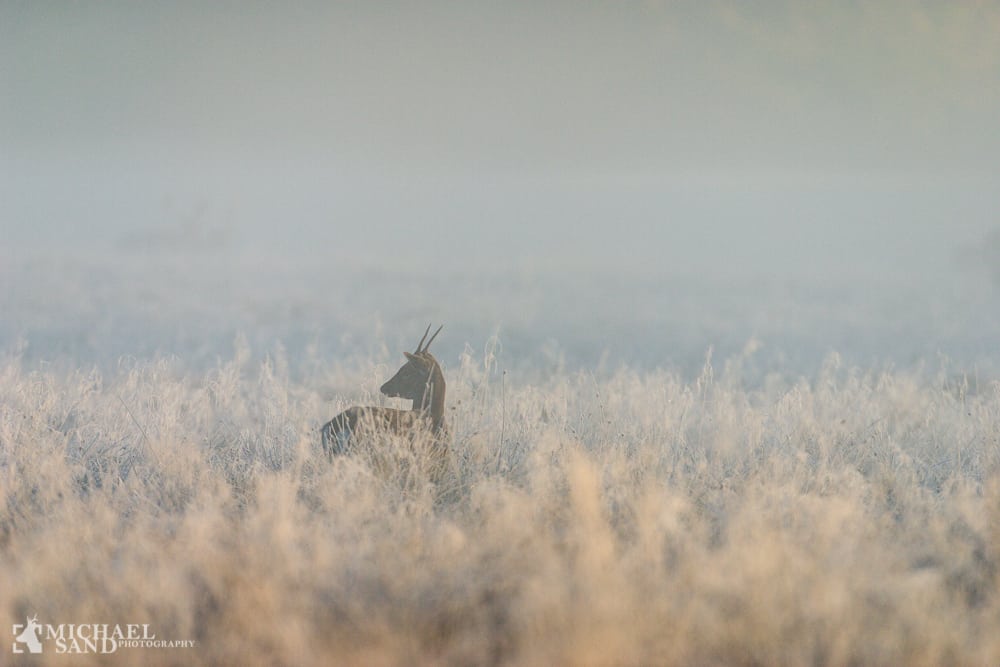 Derfor sagde vi ikke noget Derfor sagde vi ikke noget