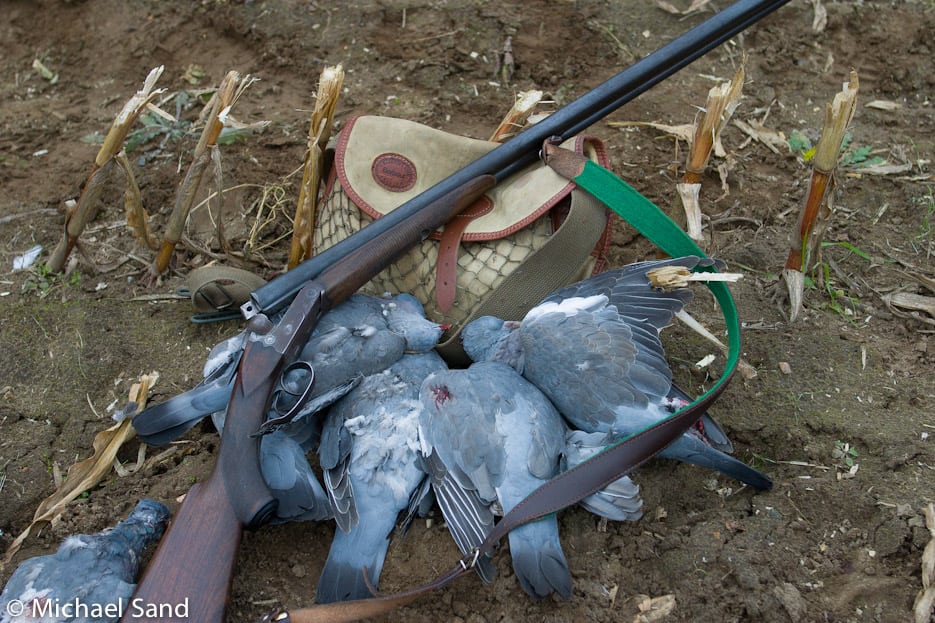 Ny forening ønsker flere penge i jagt