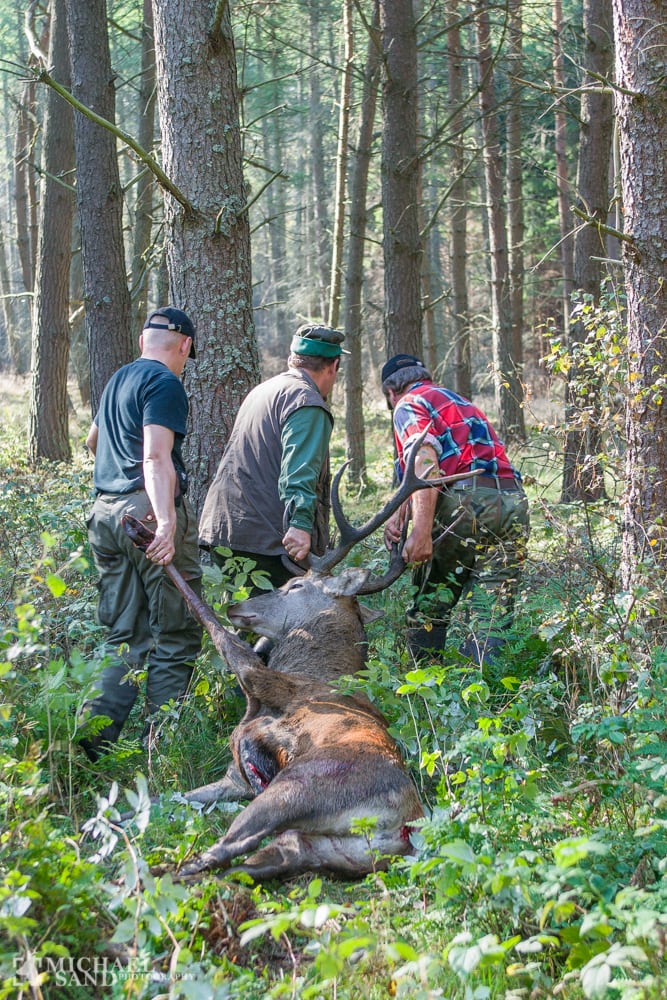 Trofæ-speditør undersøger trofæjægernes ønsker og behov
