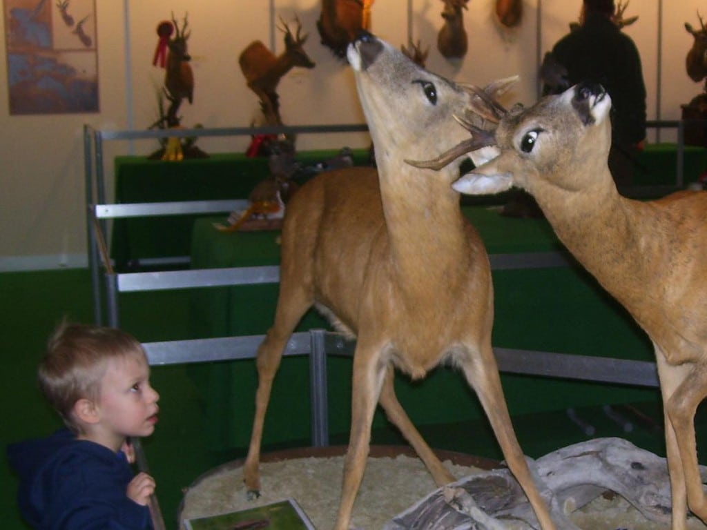 Ungarsk mesterskab til dansk ansat konservator