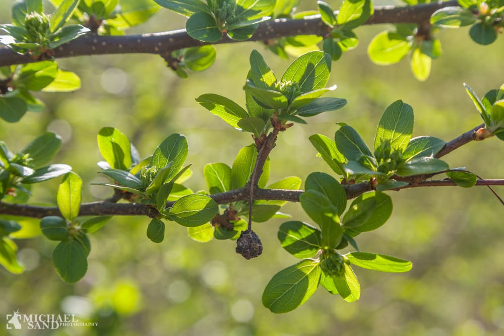 Smukt nordsjysk landskab nu fredet