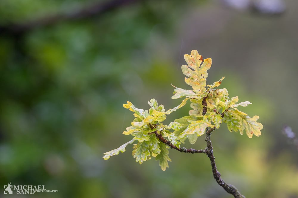 Beskyttet natur skal beskyttes Beskyttet natur skal beskyttes