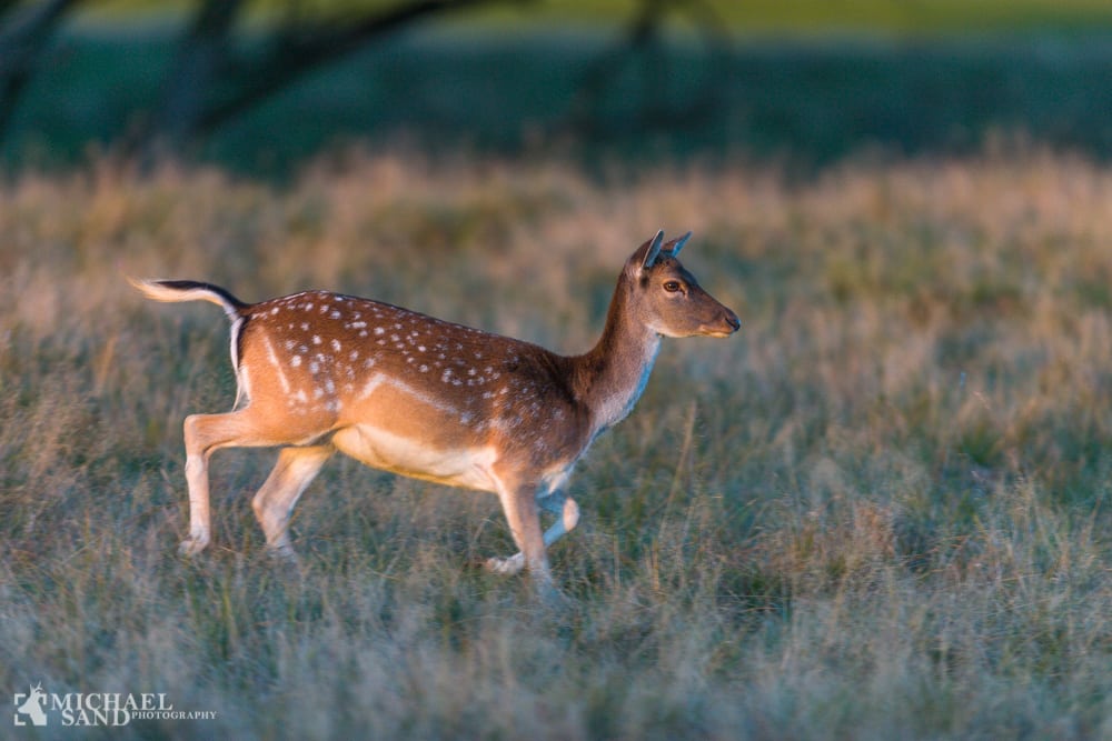 Miljøministeren maner til besindighed i sommervarmen